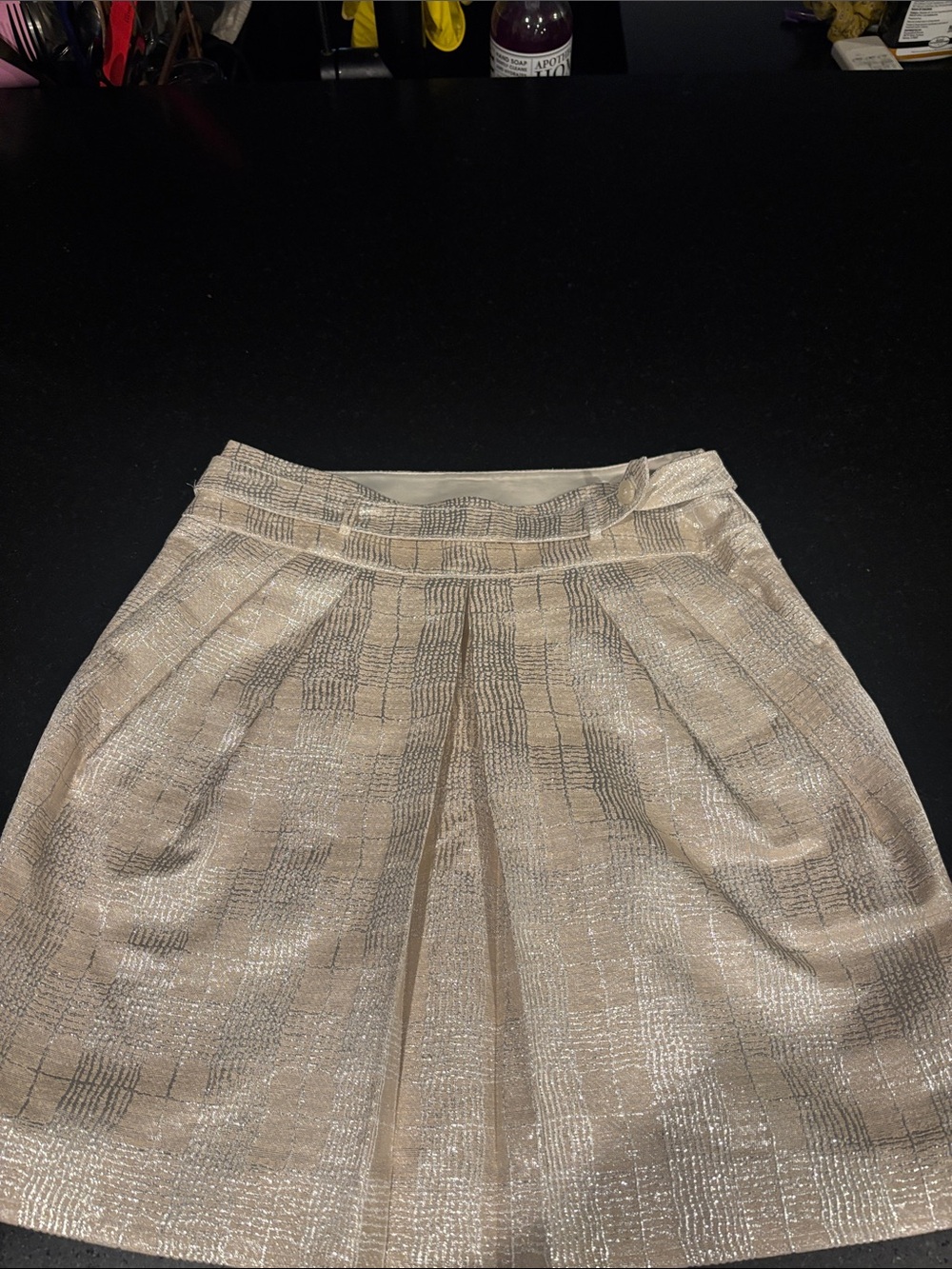 Club Monaco Shimmery Beige A-Line Pleated Skirt
